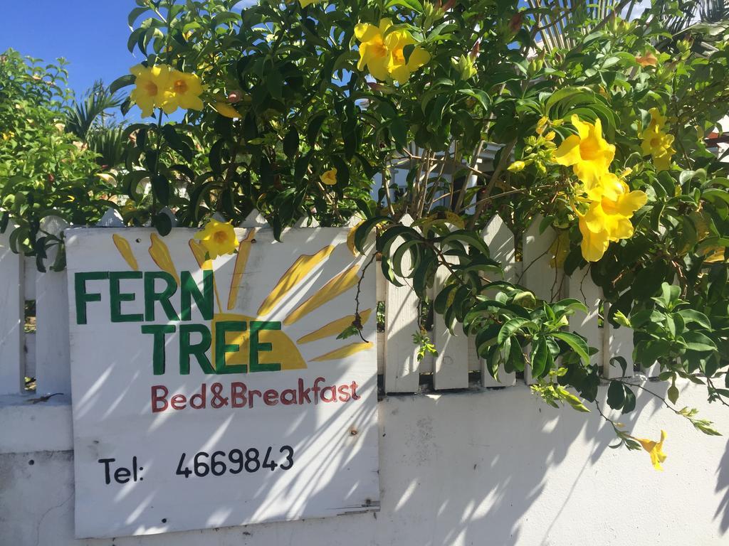 Fern Tree Bed And Breakfast Фригейт-Бэй Экстерьер фото